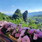 Parco dei Sassi di Roccamalatina (Appennino modenese)