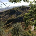 Cammini: rinasce la via dei Brentatori, un incantevole percorso tra le colline