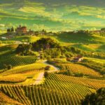 Piemonte in autunno: trekking panoramico tra i vigneti delle Langhe