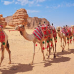 Le meraviglie dell’Arabia Saudita